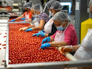 Unskilled Jobs in New Zealand With Visa Sponsorship