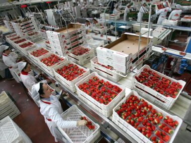 No Degree Jobs in Germany with Visa Sponsorship 2026